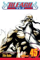 Bleach, Volume 45: The Burnout Inferno