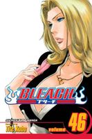 Bleach, Volume 46: Back from Blind