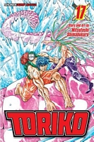 Cover of Toriko, Vol. 17 by Mitsutoshi Shimabukuro
