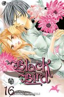 Cover of Black Bird, Volume 16 by Kanoko Sakurakouji
