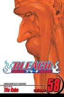 Bleach, Volume 58: The Fire