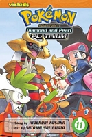 Diamond and Pearl/Platinum, Vol. 11