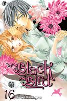 Cover of Black Bird, Vol. 16 by Kanoko Sakurakouji