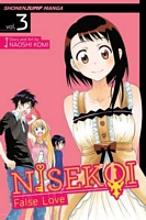 Nisekoi: False Love, Volume 3: What's in a Name?