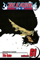Bleach, Volume 61: The Last 9 Days