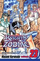 Knights of the Zodiac (Saint Seiya), Vol. 23