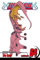 Bleach, Volume 64: Death In Vision