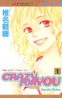 Crazy For You, Vol. 1