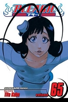 Bleach, Volume 65: Marching Out the Zombies