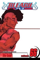 Bleach, Volume 66: Sorry I Am Strong