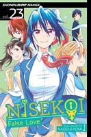 Nisekoi: False Love, Volume 23: One Day