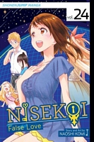 Nisekoi: False Love, Volume 24: Night of Falling Stars