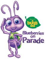 Blueberries on Parade