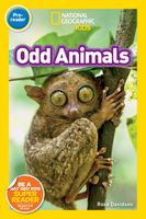 Odd Animals