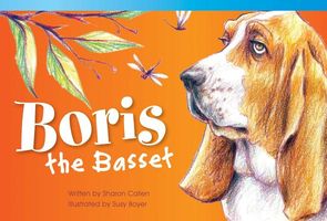 Boris the Bassett