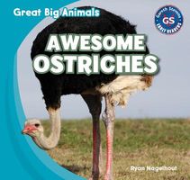 Hardcover edition cover