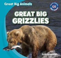 Hardcover edition cover