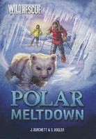 Polar Meltdown