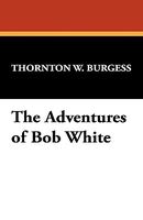 The Adventures Of Bob White