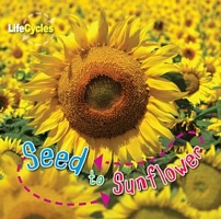 Cover of Seed to Sunflower by Camilla de la Bedoyere