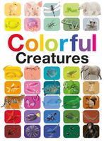 Colorful Creatures