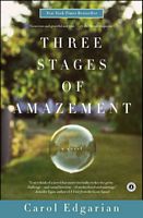 Three Stages of Amazement