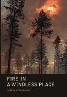 Paperback edition cover