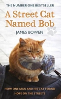 Cover of A Street Cat Named Bob by James Bowen