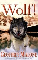 eBook edition cover