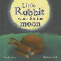Cover of Little Rabbit by Beth Shoshan