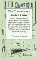 The Clematis As A Garden Flower