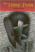 Cover of The Third Twin by John Rae