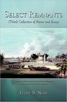 Cover of Select Remnants by Felipe B. Nery