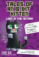 Lost in the Nether