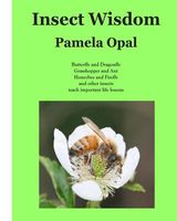 Cover of Insect Wisdom by Pamela Opal