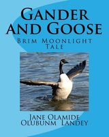 Cover of Gander and Goose by Jane Olamide Olubunm Landey