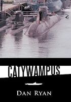 Catywampus