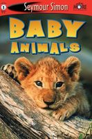 Baby Animals