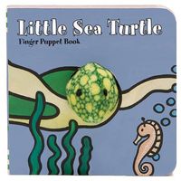 Little Sea Turtle