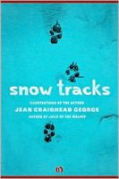 Snow Tracks