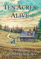 Paperback edition cover