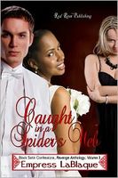Caught in a Spider's Web: Black Satin Confessions, Revenge Anthology: Book 3