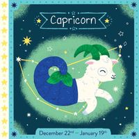 Capricorn Board Book