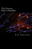 Cover of The Universe Ends in Brooklyn by S.T. Fortner