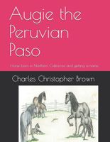 Augie the Peruvian Paso