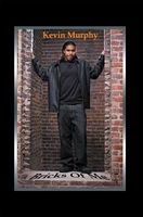 Cover of Bricks Of Me by Kevin Murphy