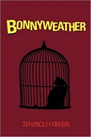 Paperback edition cover