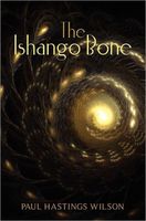 The Ishango Bone