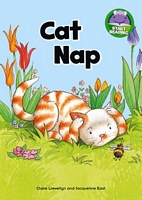 Cat Nap