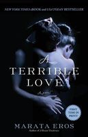 A Terrible Love book cover